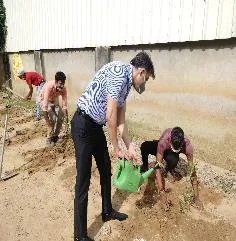 Tree-plantation volunteers