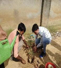 Premier tree-plantation project
